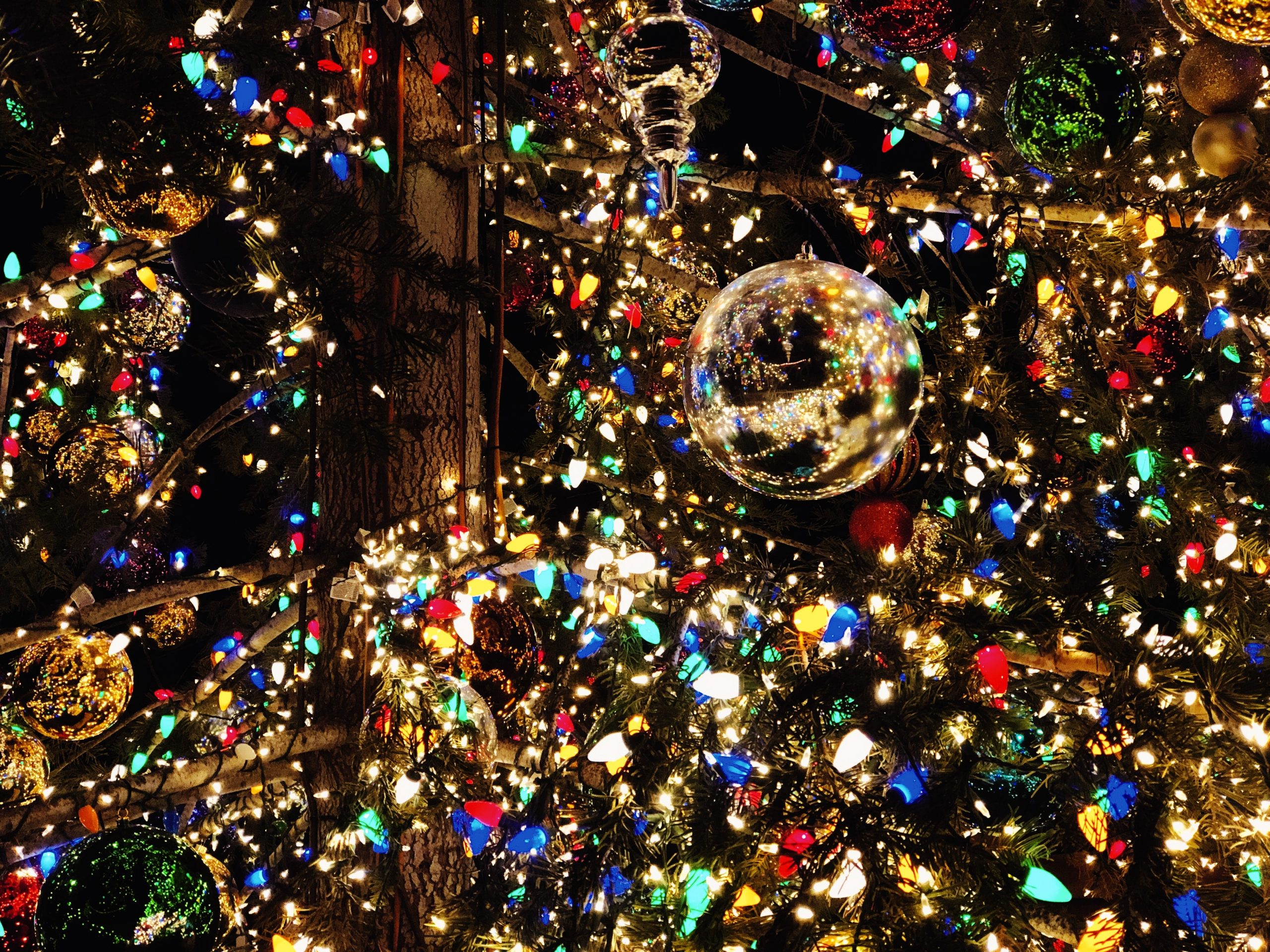 Annemie hangt haar huis vol kerstverlichting , ondanks hoge prijs voor