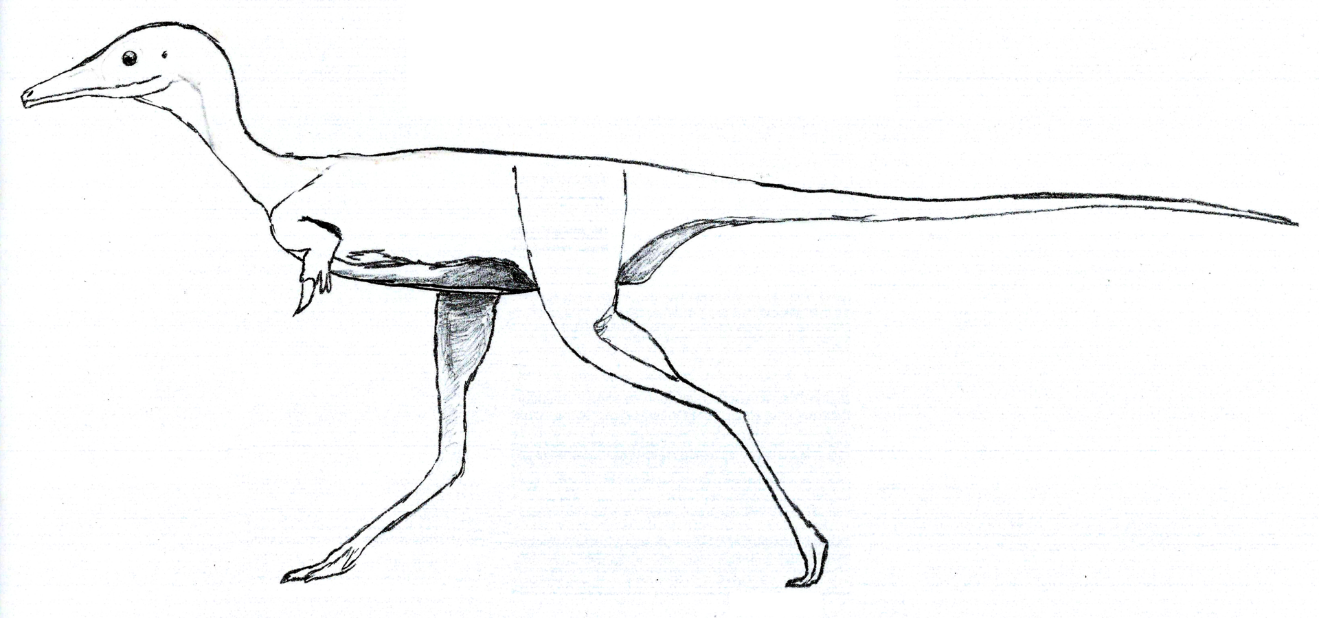 Nieuwe mini-dino ontdekt!